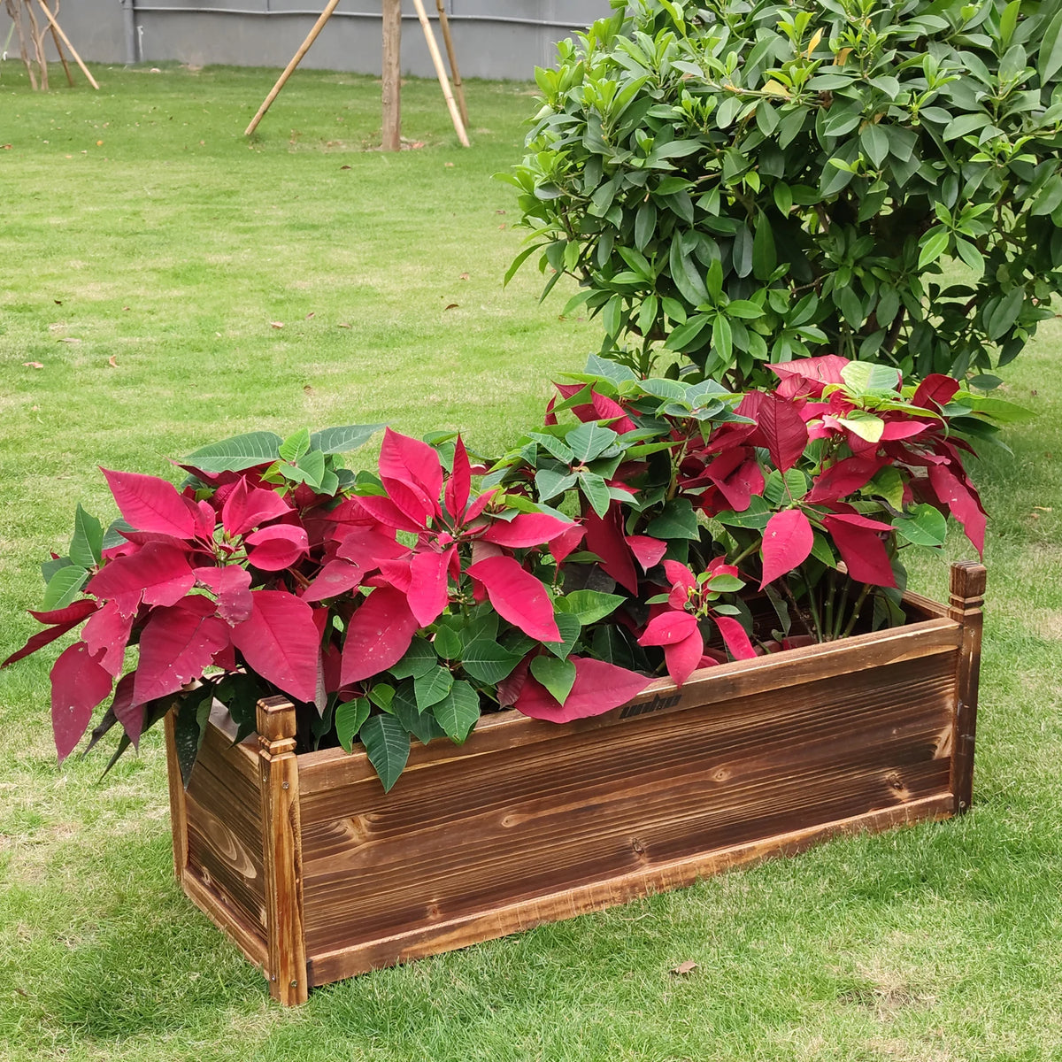 Wooden Window Planter Box For Raised Garden And Yard