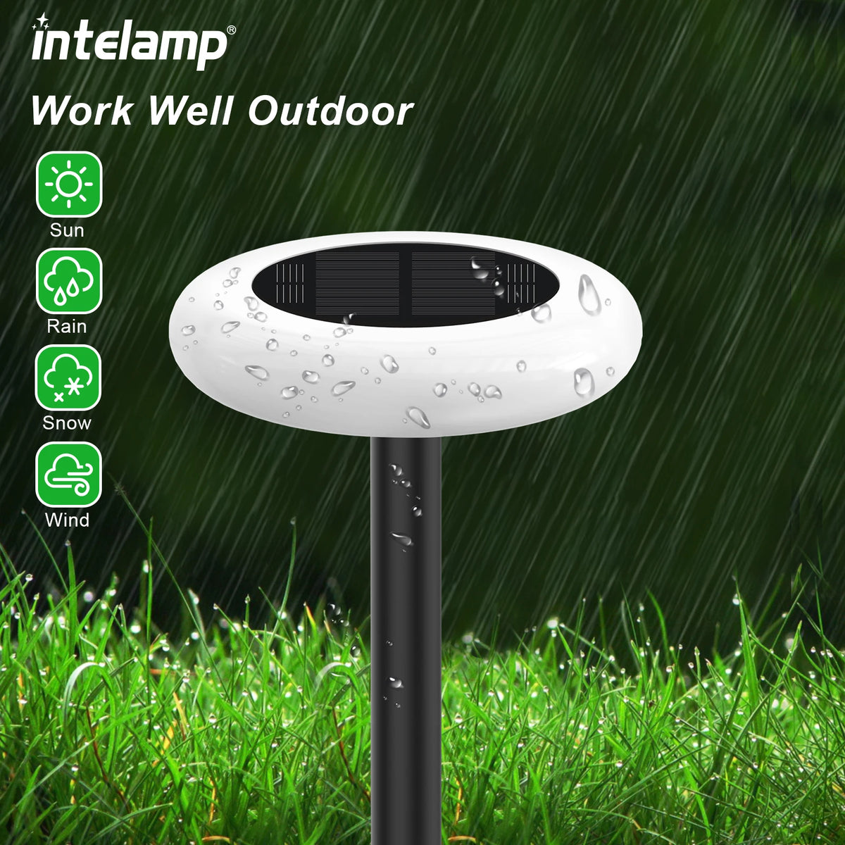 Intelamp Solar Outdoor Pathway Lights For Garden And Lawn