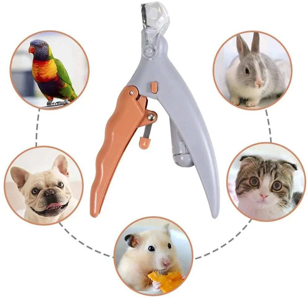 Stainless Steel LED Pet Nail Clippers For Cats And Dogs