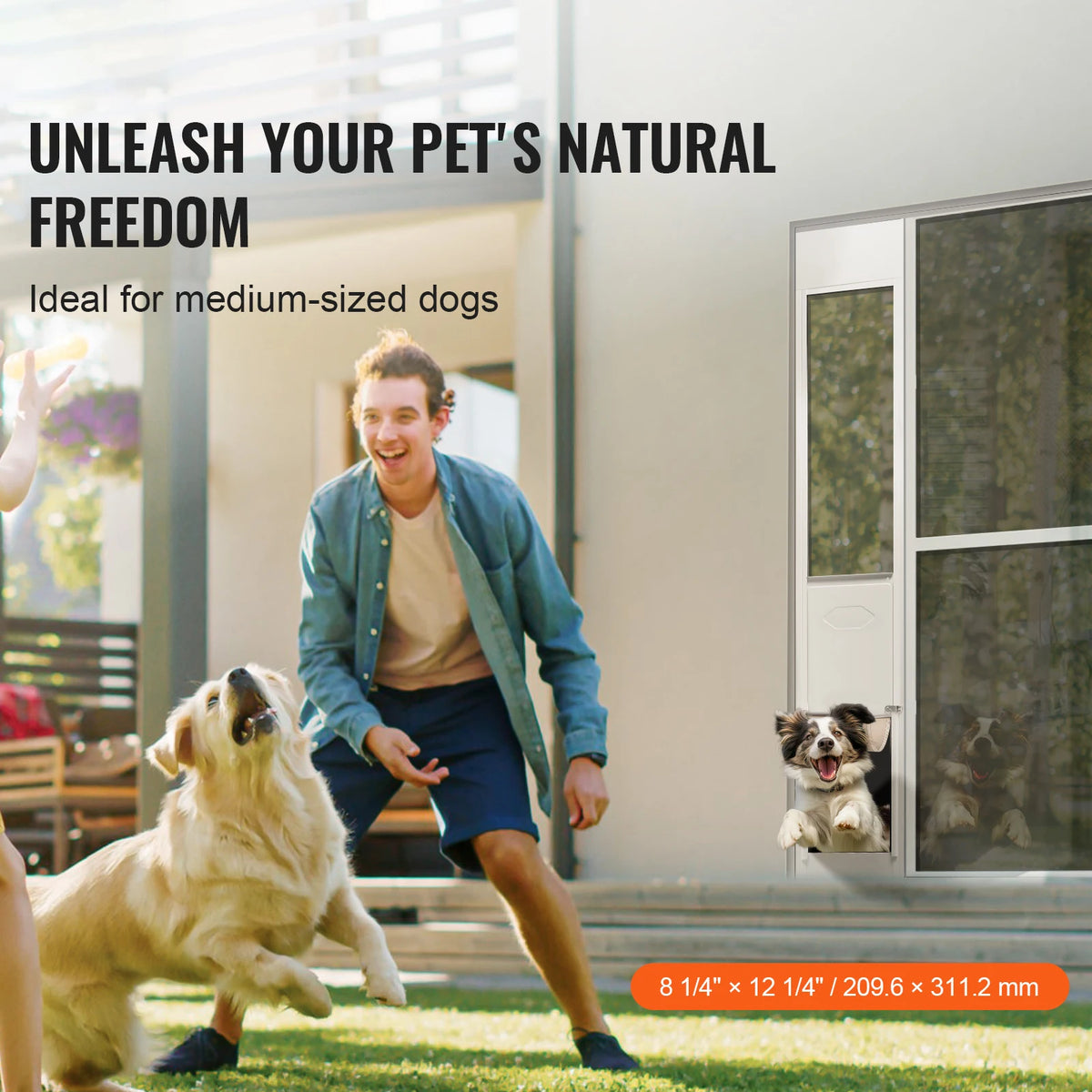 Sliding Glass Dog Door With Adjustable Height And Tempered Glass