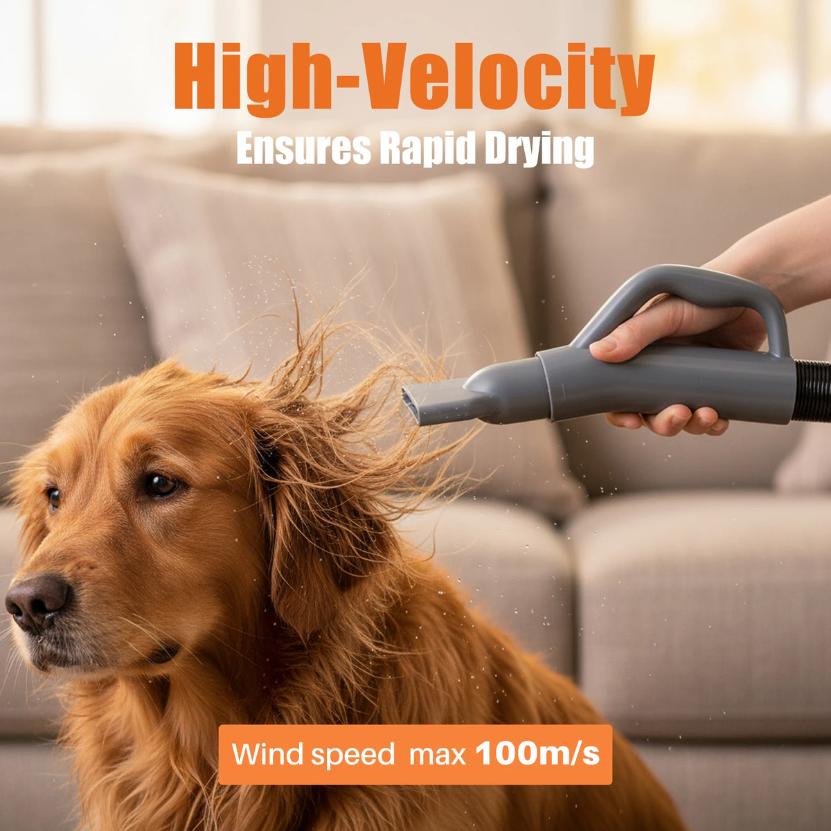 Quiet Pet Grooming Vacuum With Four Nozzles And Adjustable Heat