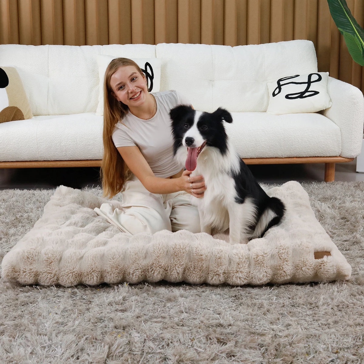 Bingopaw Ultra Soft Plush Calming Dog Bed With Removable Cover