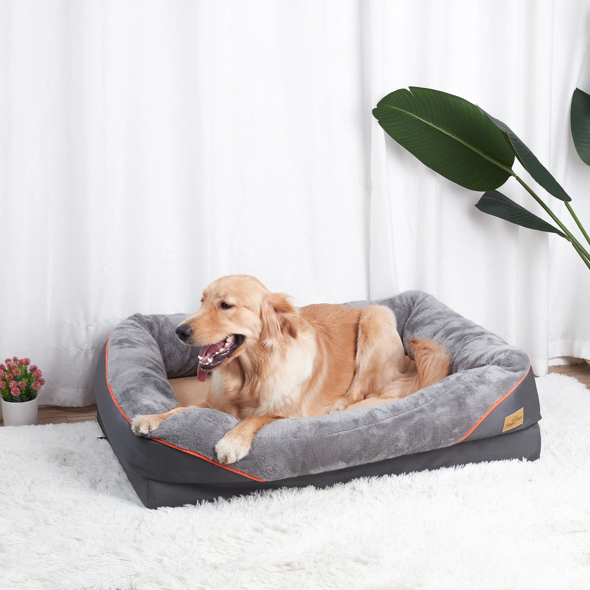 BINGOPAW Large Dog Bed With Removable Washable Cover Anti Allergy